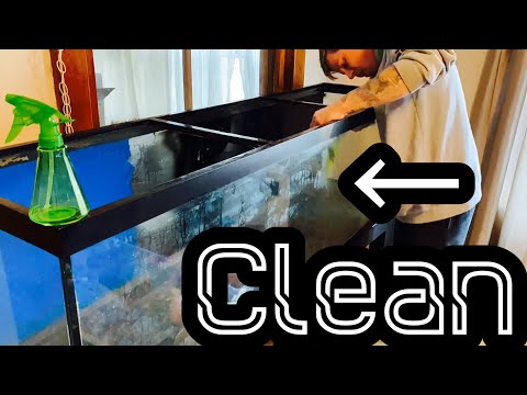 Clean Old Aquarium