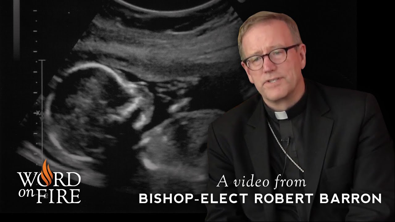 the loss of human dignity with Human dignity is something that can’t be taken away (like the death penalty and abortion) at stake is the dignity of the human person. the loss of human dignity with Human dignity is something that can’t be taken away (like the death penalty and abortion) at stake is the dignity of the human person.