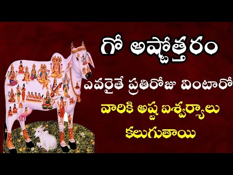 Gomatha Ashtothram Telugu With Lyrics   Gomatha ashtotharam 108 namalu  MK Devotional