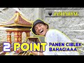 Panen Ciblek Perdana Jamparing Bird Farm Berkah Menyambut Ramadhan Jackpot Point Ciblek Anakan Mp3 - Mp4 Download