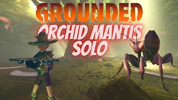 Grounded |  Mantis Solo, Complete Guide