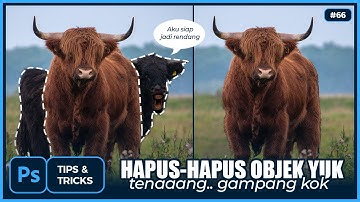 CARA MENGHILANGKAN OBJECT YANG MENGGANGGU DENGAN MUDAH, CEPAT & DETAIL DI PHOTOSHOP