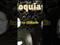 Las Poquianchis