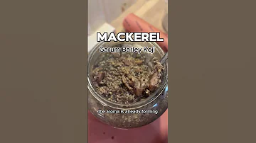 Modern Ancient Garum No Guts The Magic Of Koji Garum Recipe Ancientrome Fermentedfoods 