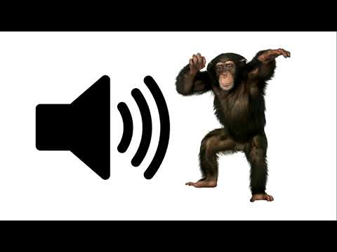 Monkey - Sound Effect