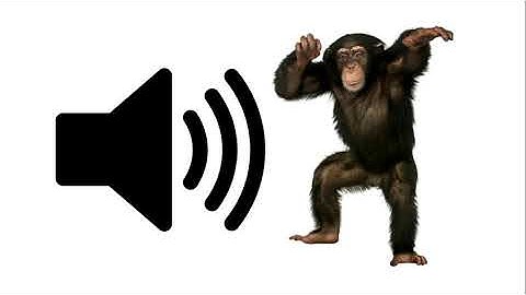 Monkey - Sound Effect