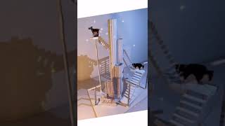 Assignment 2 Video 1