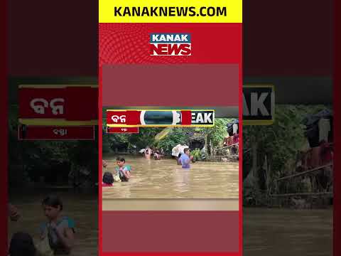 Baliapal Flood Update | 100+ Villages Underwater, Relief Still Inadequate