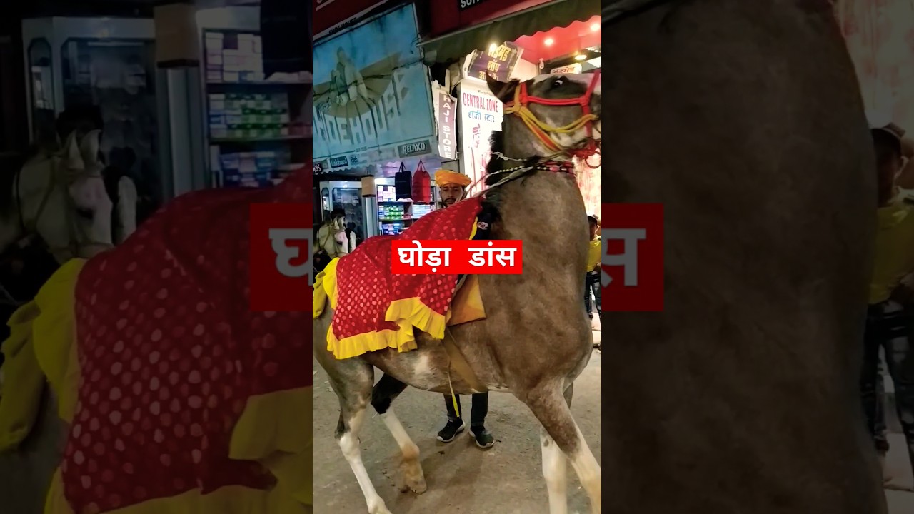 Ghoda dance in pakistan 