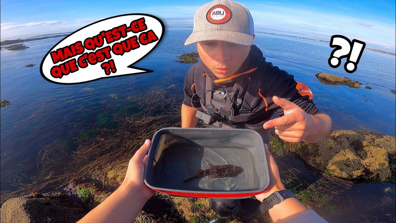 On attrape un poisson mystérieux dans les roches ??!