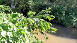 #YAYUJOURNEYS - Ada sesuatu yg menakjubkan di desa Bentok Darat Kalimantan Selatan