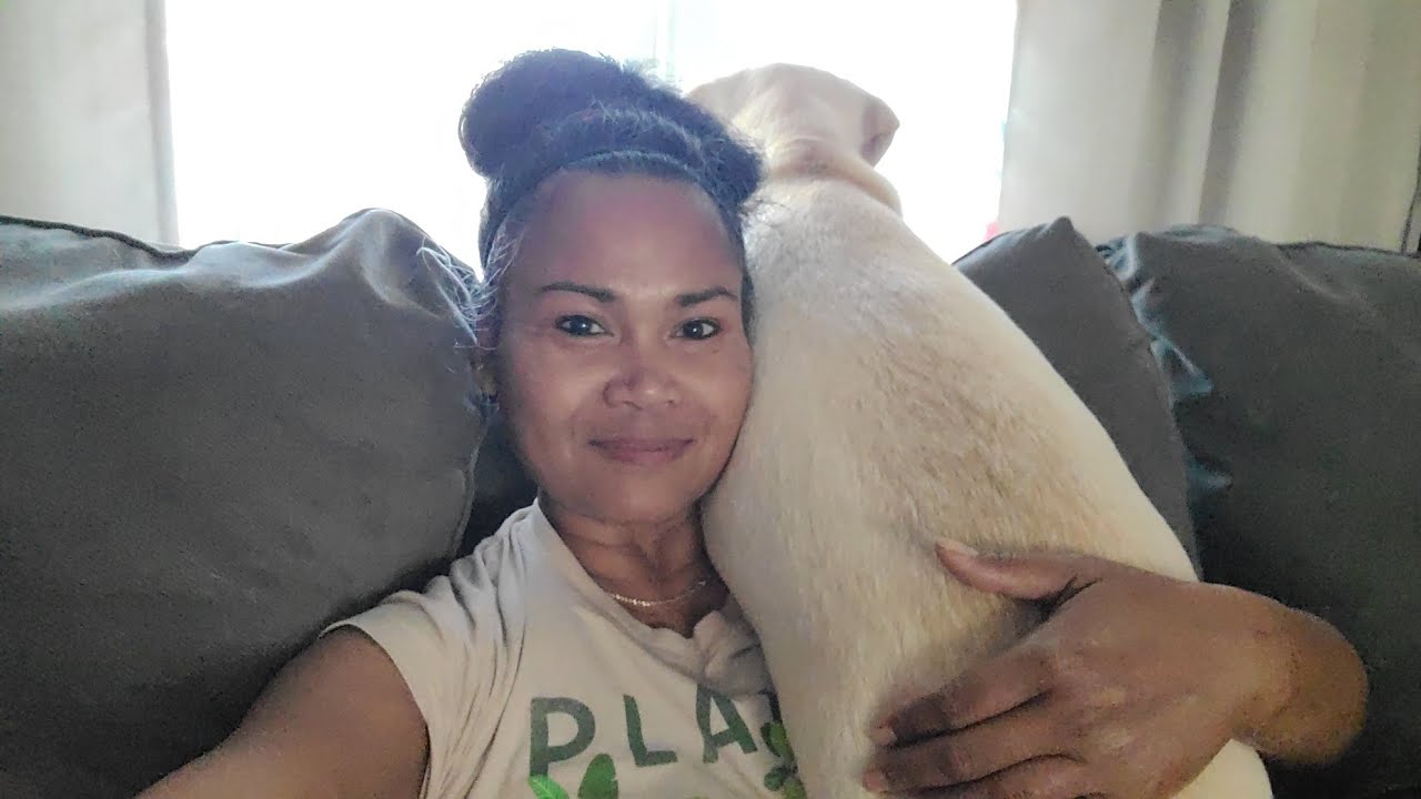 Cutest Labrador Dog and Her Mommy Compilation Video YouTube