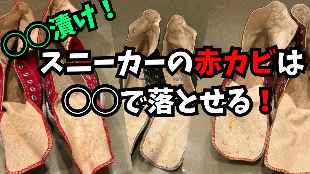 Don't throw them away! This is how you can remove mold from your