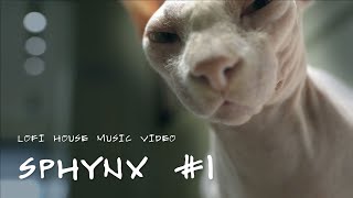 Lofi House Music · Sphynx #1 · Relaxing Beat · Cat Video · BPM 120