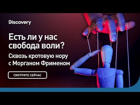 Есть ли у нас свобода воли? | Сквозь кротовую нору с Морганом Фрименом | Discovery