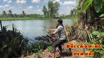 Câu Cá Tra Sông | Bãi Cá Khủng Pen Cái Là Rung Và Cái Kết | Fishing Miền Tây