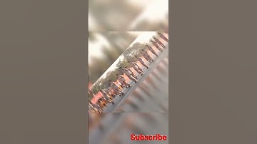 ||mns on duty🇮🇳🔥🔥🔥👍|| #mns#indianarmy#armylover