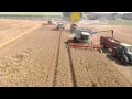 Chantier de récolte de céréales à Tonnay Boutonne - drone