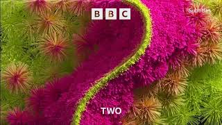 Winter Olympics BBC Two Intro 