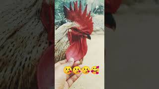 year me itna kiu suntor hu#shorts#aplodshorts#ytshorts#trending#ytshorts#yt