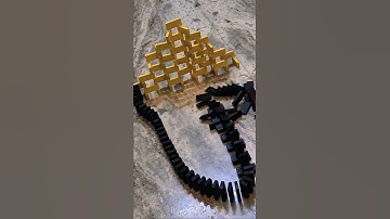 insane squid game domino setup!! #shorts #domino #insane #squidgame #setup #thecraftchannel