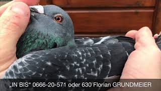 0666-20-571 oder 630 Florian GRUNDMEIER