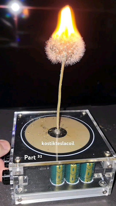 Flower 😍 Music Tesla Coil #shorts