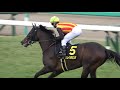 【競馬】ジュニアカップ(L) 本馬場入場 現地映像 ヴェイルネビュラ