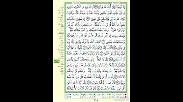 الصفحة ٣١٤ من القرآن الكريم...القارئ د.بريك سعد بريك