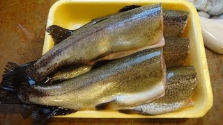 How to Properly Clean a Trout (Whole Fish Style) (Feasterville-Trevose, PA)