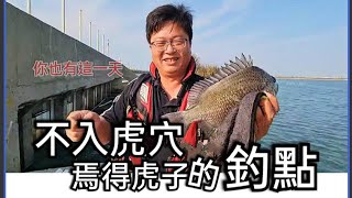 鱸魚門 不入虎穴焉得虎子，超不想報的釣點 但讓你驚喜連連喔! Fishing  台湾の釣り 낚시 câucá 爆釣 パチスロ