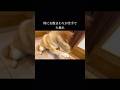 噛む犬もトレーナーの仕事です #doglibre #柴犬 #本気噛み #犬のしつけ #ドッグトレーニング