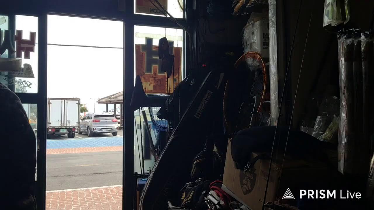 추자오리 라이브 방송