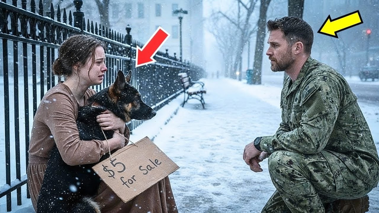 “Sir, Can You Buy My Dad’s Police Dog” — What the Officer Did Next Changed Everything!