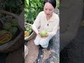 Very nice, very nice, the melon is hanging on the tree#shortvideo #farming #youtubeshorts
