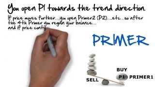 Guru Investor Network - Why and when do you need primers