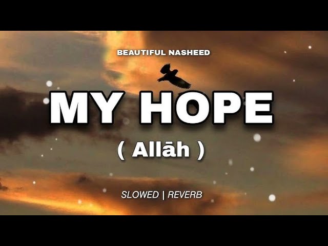 Watch My Hope Muhammad Al Muqit Speed-Up #myhopeshorts #nasheedslowedreverb  #nasheedlofi #nasheedlofi on YouTube