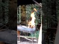 Водоспад Сопіт / Закарпаття / Карпати 2025 #mountains  #україна #travel #youtube #shorts #shortvideo