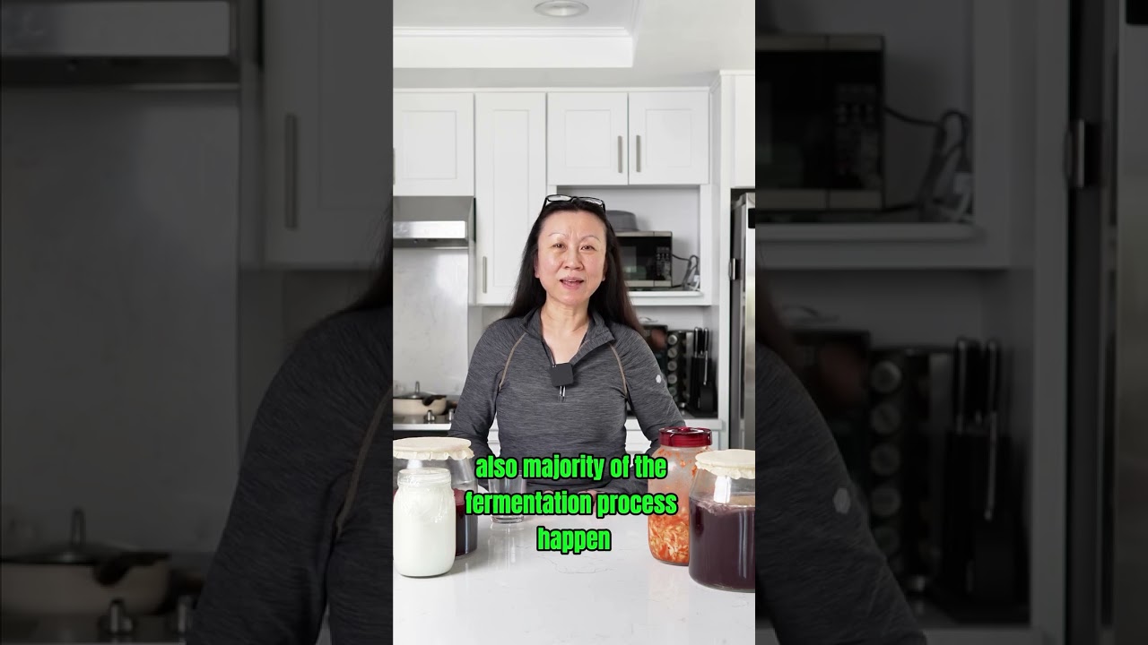 Stovetop VS FermentPro 