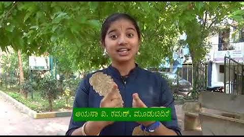 "Pipe Compost Method in Moodabidare"