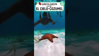 CUANTO CUESTA el tour a EL CIELO - COZUMEL - Cuánto Cuesta Viajar?