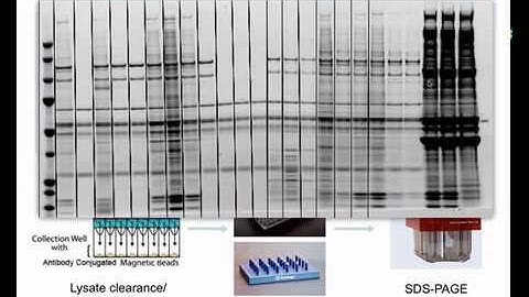 Proteomics Informatics 12