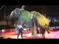 Hanneford Circus Elephant Show 5-18-13 Morristown, NJ