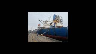 life at sea !merchant navy #sealife#ship#merchantnavy#automobile#jcb#travel#shorts