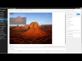 WordPress Uploading Media 3.9