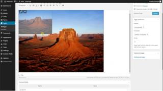 WordPress Uploading Media 3.9
