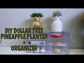 DIY Dollar Tree Pineapple Planter + Organizer