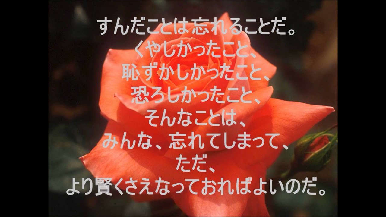 素晴らしい人生を送るための言葉 名言集 Youtube 素晴らしい人生を送るための言葉 名言集 Youtube
