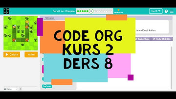 Code Org Kurs 2 Ders 8 Cevapları Arı Döngüler - Code.org Ders 8 Arı Döngüler Cevapları