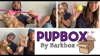 Pupbox by Barkbox, unboxing for our 4 month old Mini Goldendoodle